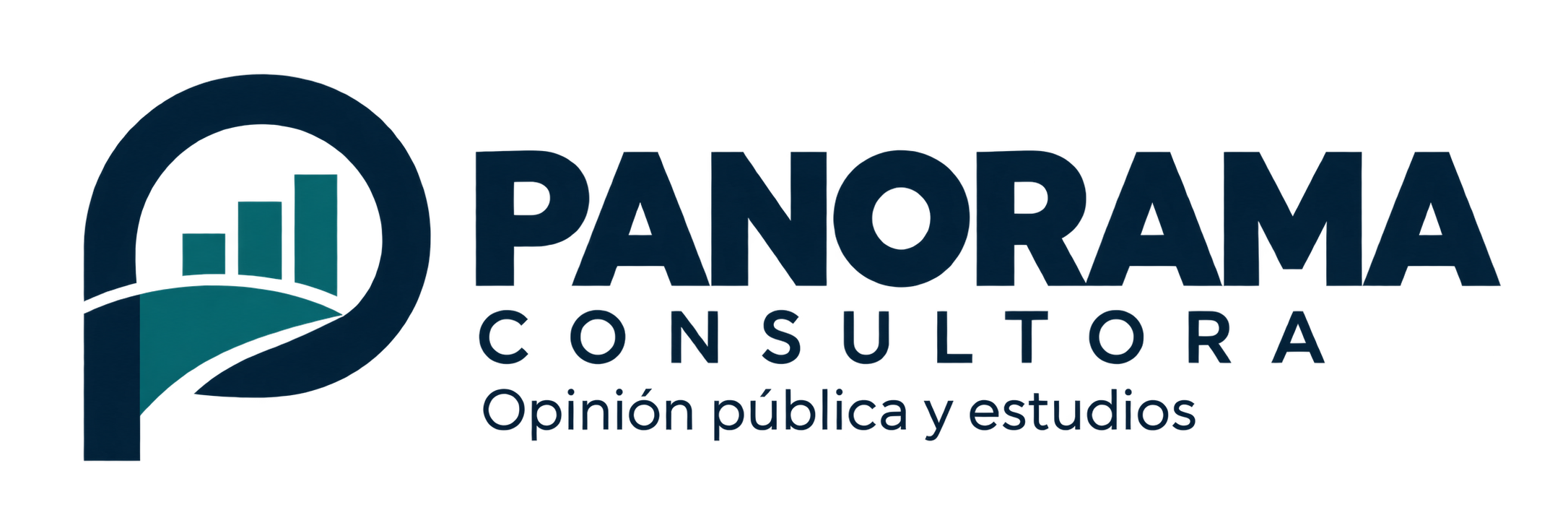 Panorama Consultora — Opinión pública y estudios